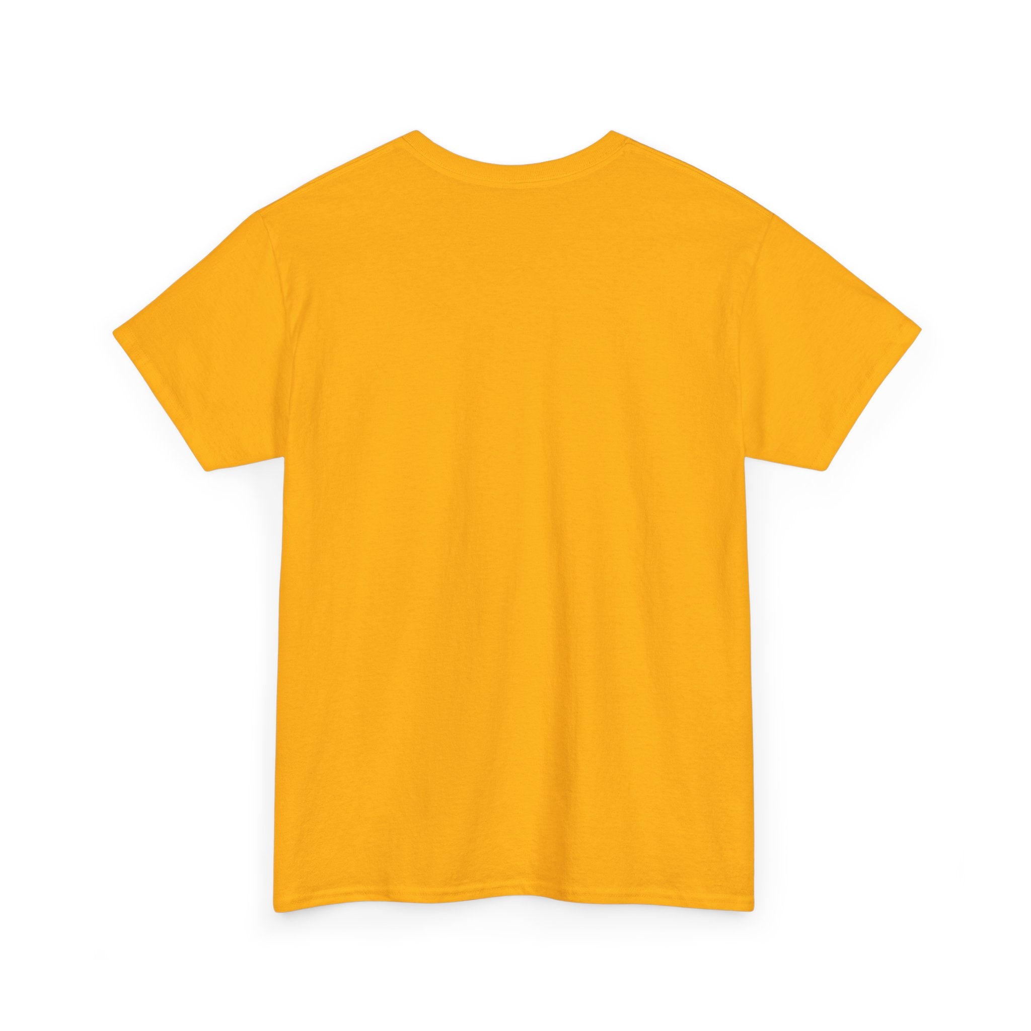 Diamond in the Rough Graphic Tee — Inspirational Nest & Gem Design